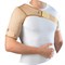 Бандаж на плечевой сустав Orto ASU-262 - фото 6311